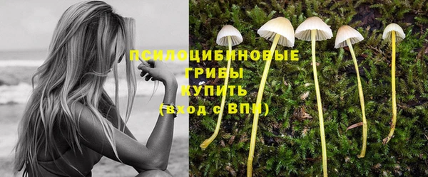 молекула духа Абдулино